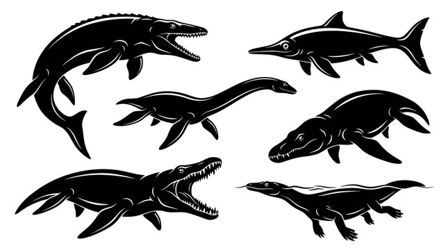 Black  White Line Art Collection of Prehistoric Marine Reptiles
