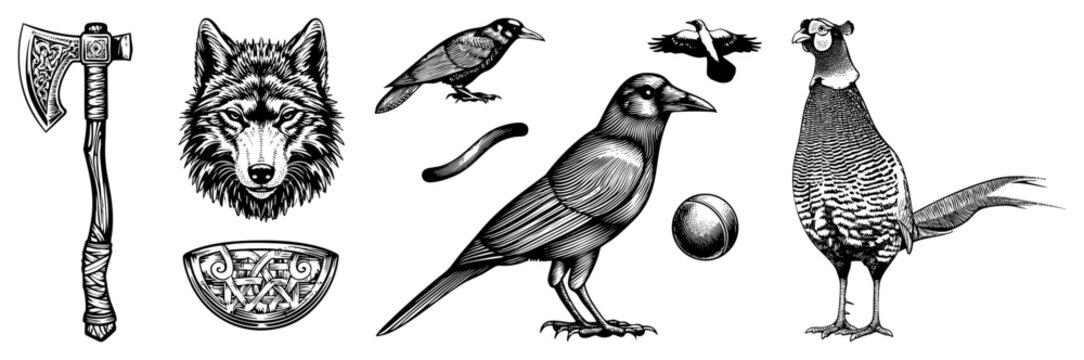 Huginn Vector Huginn Images – Browse 445 Stock Photos, Vectors, and Video | Adobe Stock