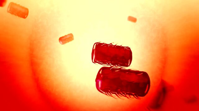  Salmonella Bacteria 3D Cinematic Animation in Microscopic Level