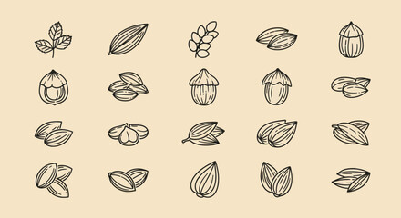 Set of hand-drawn nut and seed line art icons for organic food themes © Sucang