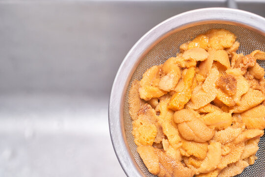 Fresh sea urchin roe (uni) in a metal strainer. High-quality seafood with vibrant orange color and grainy texture. Ideal for culinary, luxury dining, and raw food themes.