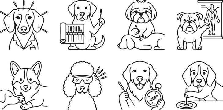 Professional dogs practicing acupuncture and traditional alternative medicine therapy for humans