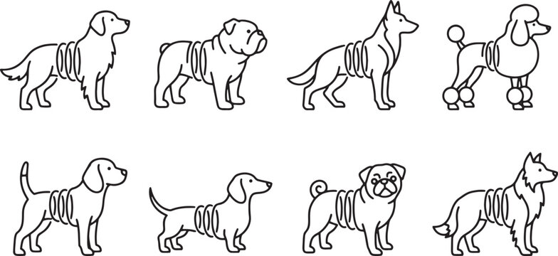 Unique collection of different dog breeds featuring flexible slinky spring body designs