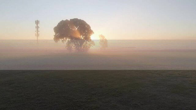 Sun rising behind solitary tree sending warm rays, fog lifting, revealing tree silhouette