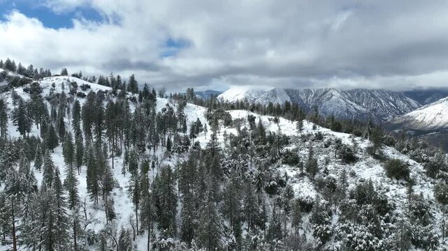 The California San Gorgonio San Bernardino Mountain Range near the Santa  Ana Watershed covered in snow along SR 38 through the Mountain Pass