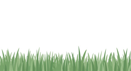 Obraz premium Green grass blades on white background, natural lawn texture, fresh green foliage, grassy landscape border