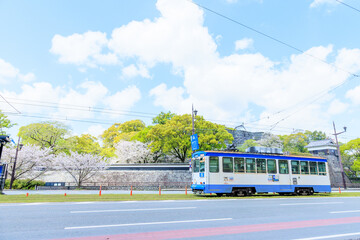 Obraz premium 春の熊本市電 路面電車 熊本県熊本市