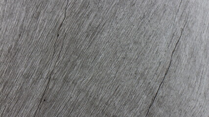 Close up texture of a tree bark © SISIRA