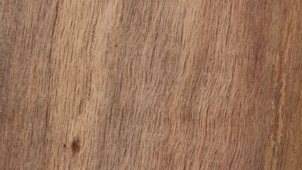 Close up texture of a tree bark © SISIRA