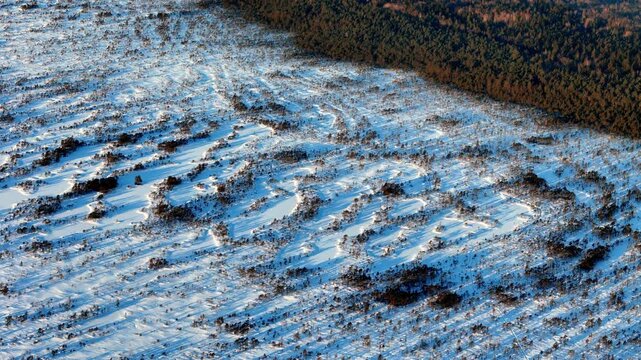 Majestic Winter Transformation of Kemeri Bog in Latvia An Aerial Perspective Showcasing Snow Covered Labyrinths and Dense Dark Pine Forests Under Crisp Blue Skies During a Serene Cold Morning Glow