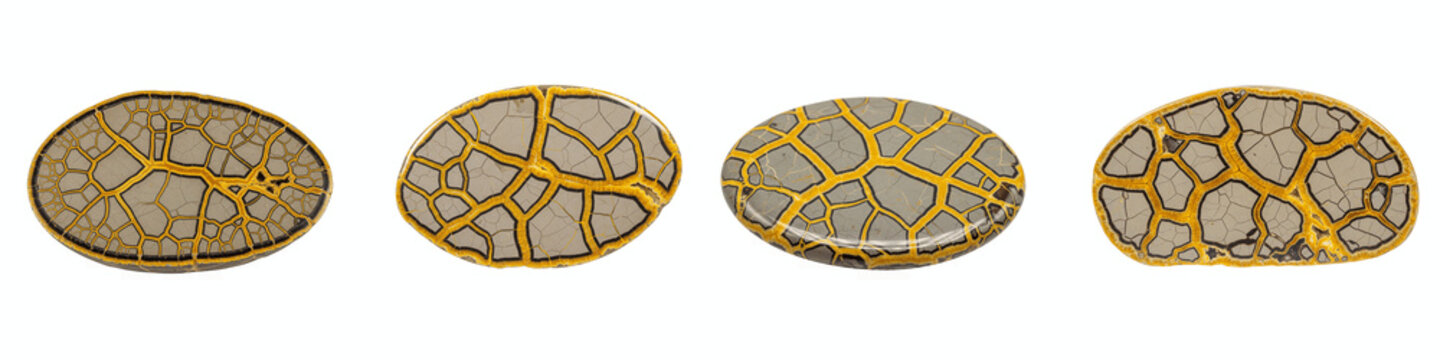 Set of four polished septarian nodules with yellow calcite veins and cracks