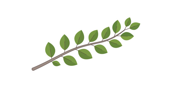 Green Leaves on Branch.