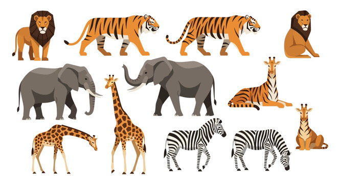 Safari Animals Collection Illustration.