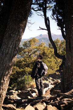 Chico joven hombre mirando hacia arriba rodeado de arboles en bosque con monta&ntilde;as de fondo, modo senderismo trekking