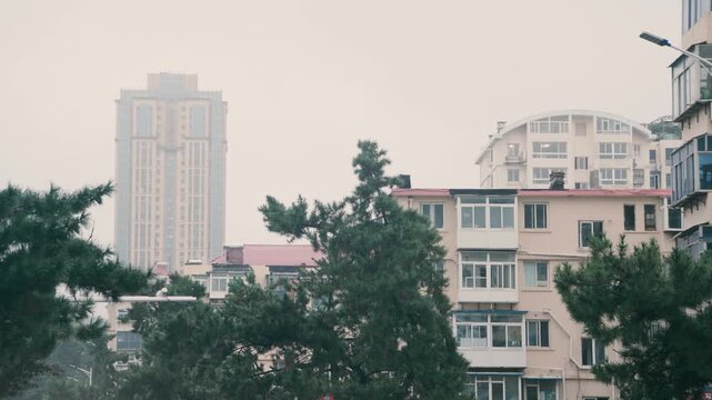 중국 연태