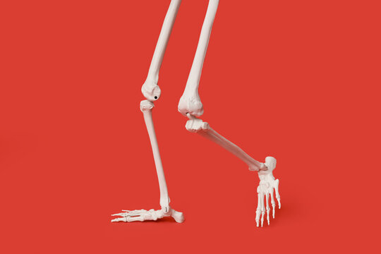 Legs of running human skeleton running on red background