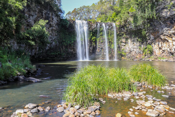 Dangar Falls flowing into pool in Dorrigo, New South Wales, Australia. Scenic natural landscape showing cascading water entering freshwater basin surrounded by forest environment. © SCLifestyle