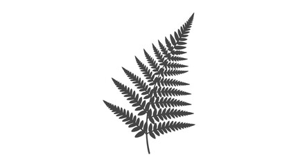Black Silhouette of a Fern Frond. © Batupa