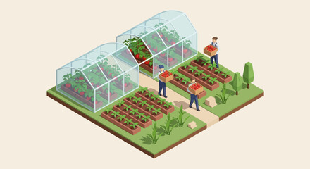 Obraz premium Isometric View of Modern Greenhouse Farming Gardeners Harvesting Fresh Tomatoes and Vegetables in a Sustainable Agricultural Setting