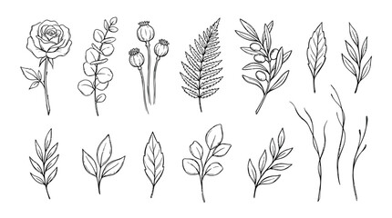 Fototapeta premium Elegant botanical line art collection of flowers and foliage illustrations