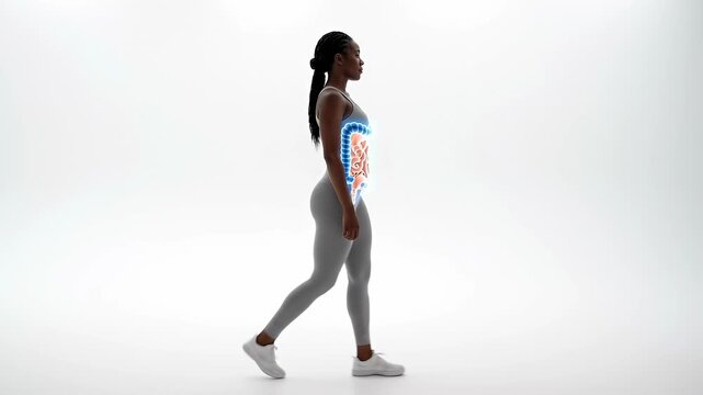 Woman walking in a minimal white space while a stylized digestive overlay reveals epithelial lining along the gut, illustrating absorption, gut health and internal biological function