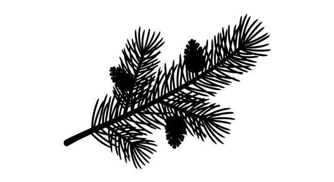 Pine Tree Branch with Cones Silhouette.