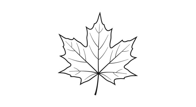 Black and White Maple Leaf Illustration.