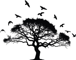 Tree Silhouette with Birds Flying Away on White Background © Yusra