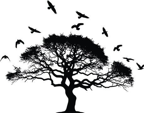 Tree Silhouette with Birds Flying Away on White Background