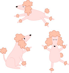 Fototapeta premium Adorable cartoon poodles. Cute cartoon dog illustration.