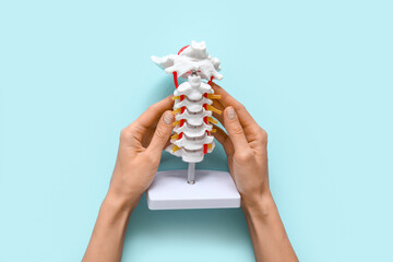 Obraz premium Woman with spine model on blue background