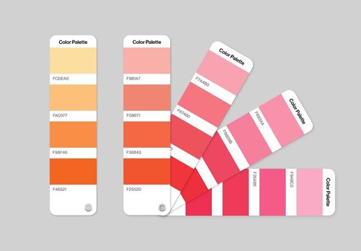 Color Palette Mockup Template For Brand Style Guide Presentation & Pantone Color Swatch Moodboards