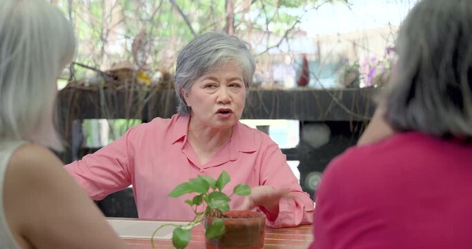 Senior Asian woman sharing personal story with close friends at cafe, retired female group listening with empathy, advice, encouragement, mental wellness conversation, supportive reunion moment