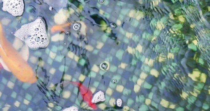 Colorful koi fish swimming beneath water surface with bubbles and reflections, symbolizing tranquility, nature balance, zen atmosphere, and Asian garden pond environment