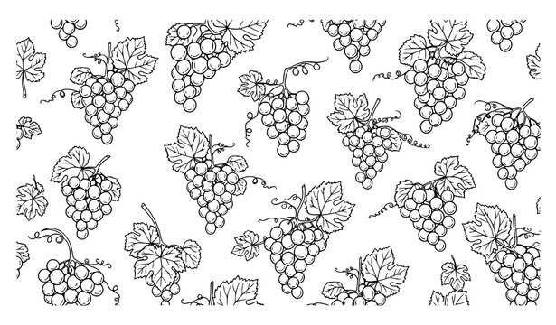 Monochrome Grape Cluster Seamless Pattern Vector Fruit Design