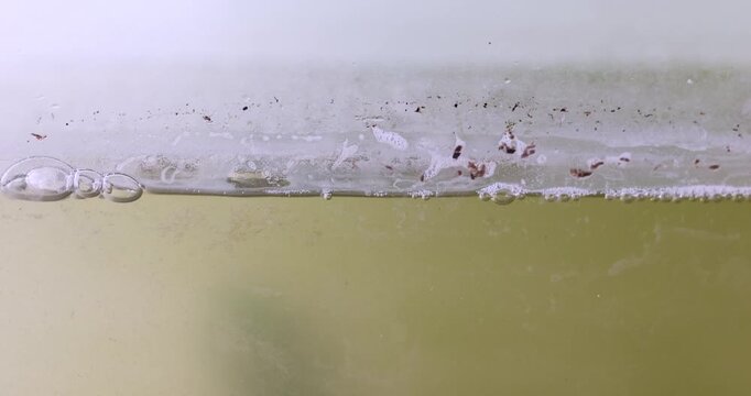 Dirty water, Aquarium glass water surface with bubbles, residue and debris floating along the waterline, showing murky conditions and buildup inside a fish tank, close-up