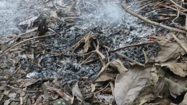 pile of dried twigs and leaves burned in a yard in a rural area in Java, Indonesia