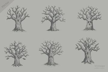hand drawn Halloween dead tree collection illustration. Vintage engraving style dead tree perfect for Halloween design. © SAGOR