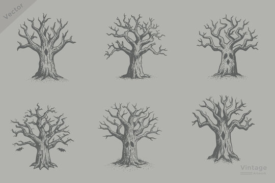 hand drawn Halloween dead tree collection illustration. Vintage engraving style dead tree perfect for Halloween design.
