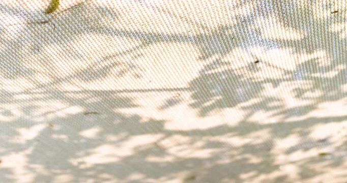 Moving leaf shadows on mesh tent fabric with warm sunlight, creating calm natural patterns and a minimal relaxing outdoor background