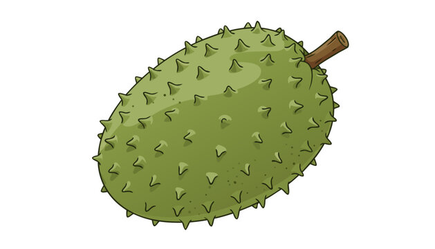 Vector illustration of a whole soursop fruit isolated on white background