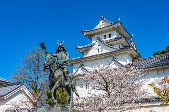 Ogaki Castle, Toda Ujikane equestrian statue, and sakura cherry blossoms in full bloom, Gifu Prefecture, Japan