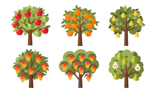 Ripe fruit trees vector set orchard harvest season illustration