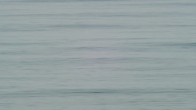 Calm Ocean Water Texture Loop &ndash; Soft Neutral Waves Background, Seamless