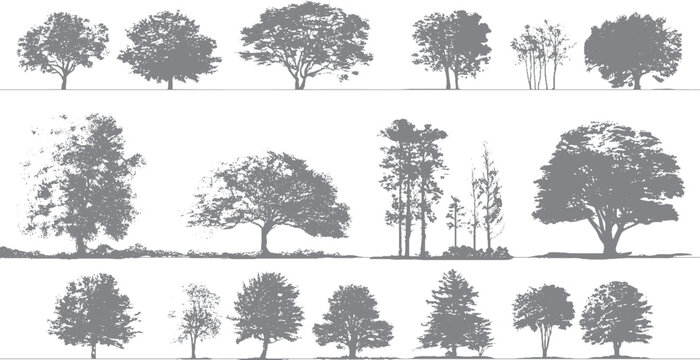 Old school forest graphic with stipple dot shading Retro woods background with grunge photocopy style