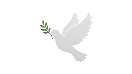 Fototapeta premium White dove flying with green olive branch