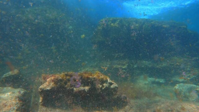 Empty rocky reef with organic matter floating due to strong wave action