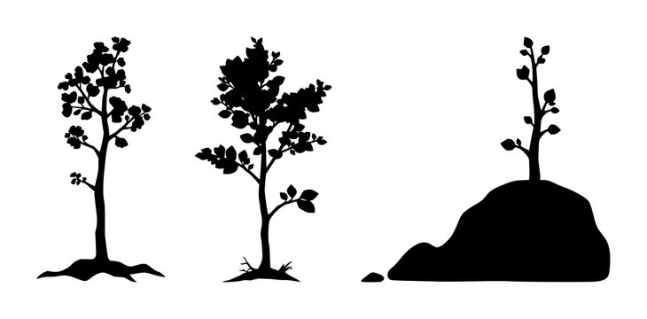 Tree sapling set with solid black icon on white background featuring reforestation, environmental, growth line art with forestry and sustainability