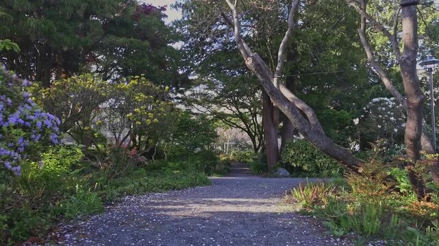 Stabilized camera glides forward down quiet gravel walking trail surrounded by vibrant spring flowers towering green trees with dappled sunlight shining through dense foliage at university campus park