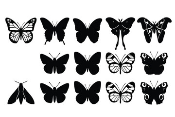 collection of black and white butterfly silhouettes isolated on transparent background © Rashedul Haque Sakib